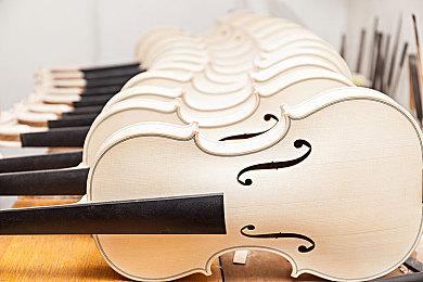 模拟建造游戏《Timberborn》Steam获“特别好评”